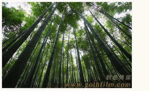 Marathon County Diploma in Environmental Science